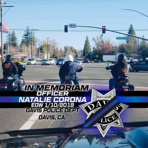 Meet your Posher, Dave